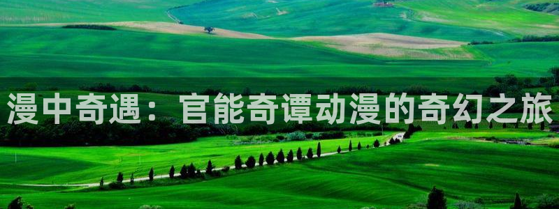 动漫岛在线观看：漫中奇遇：官能奇谭动漫的奇幻之旅