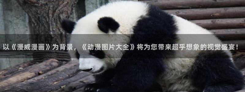 动漫岛tv官网：以《漫威漫画》为背景，《动漫图片大全》将为您带来超乎想象的视觉盛宴！