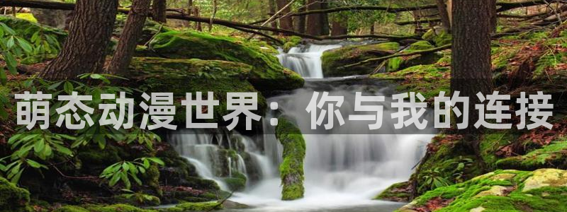 星刻的龙骑士动漫岛：萌态动漫世界：你与我的连接